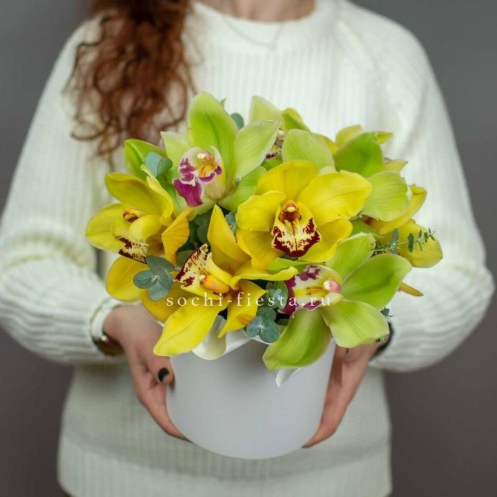 Бокс с орхидей №1 в Краснодаре