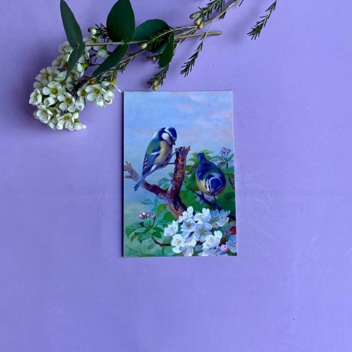 Открытка к букету "Птицы" в Краснодаре