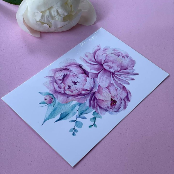 Открытка к букету "Пионы" в Краснодаре