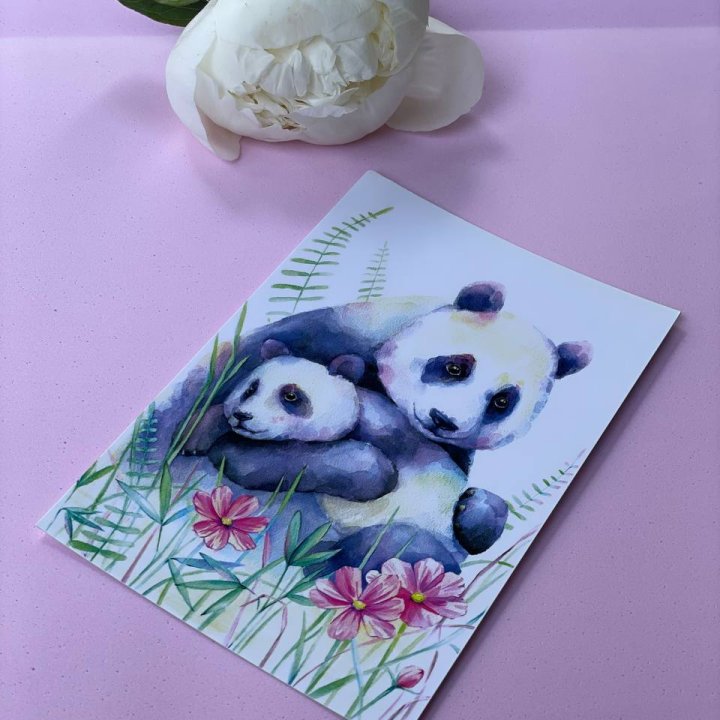 Открытка к букету "Объятие Панды" в Краснодаре