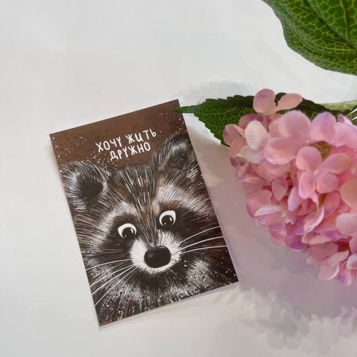 Открытка к букету "Енотик" в Краснодаре