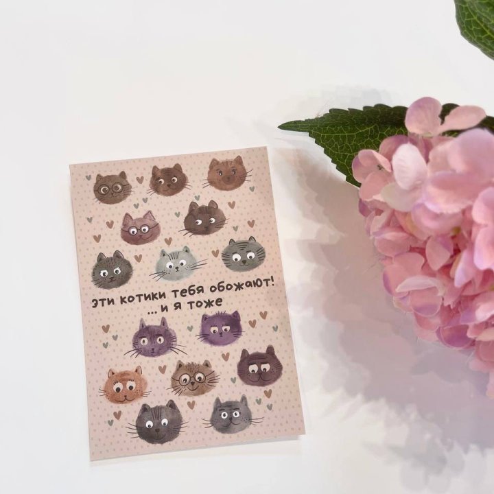 Открытка к букету "Котики" в Краснодаре