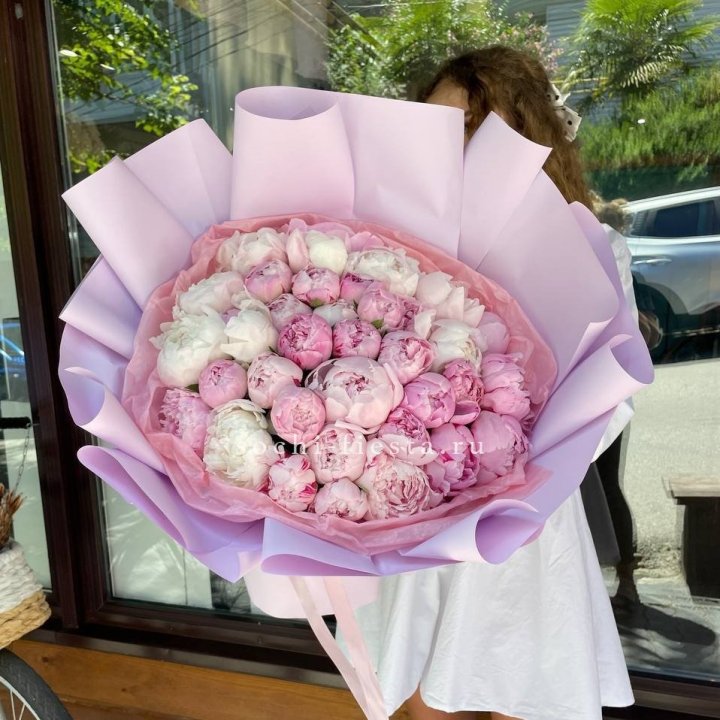 51 розовый пион в Краснодаре