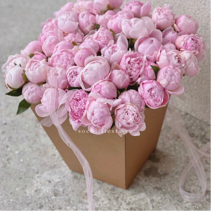 49 пионов в крафт коробке в Краснодаре