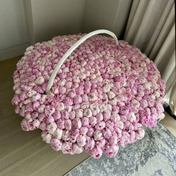 Корзина 555 пионов в Краснодаре