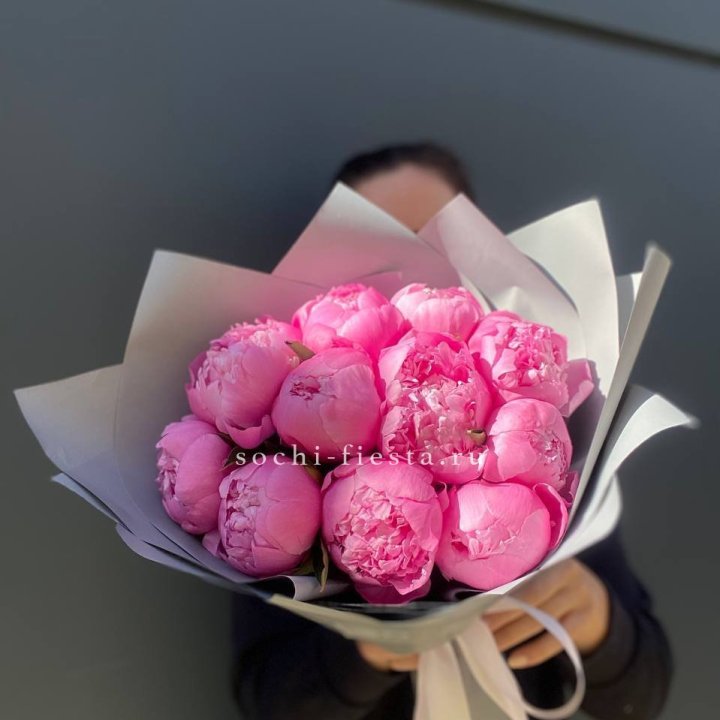 Пионы Алекс флеминг в Краснодаре