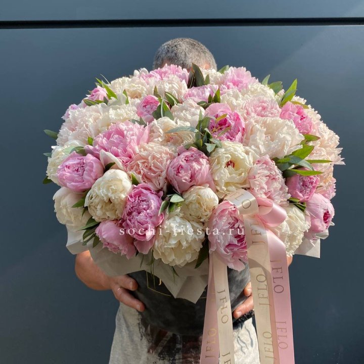 51 пионов в боксе в Краснодаре