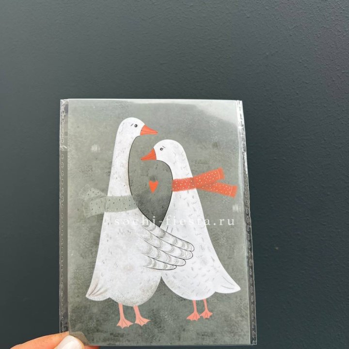 Открытка к букету "Гуси” в Краснодаре