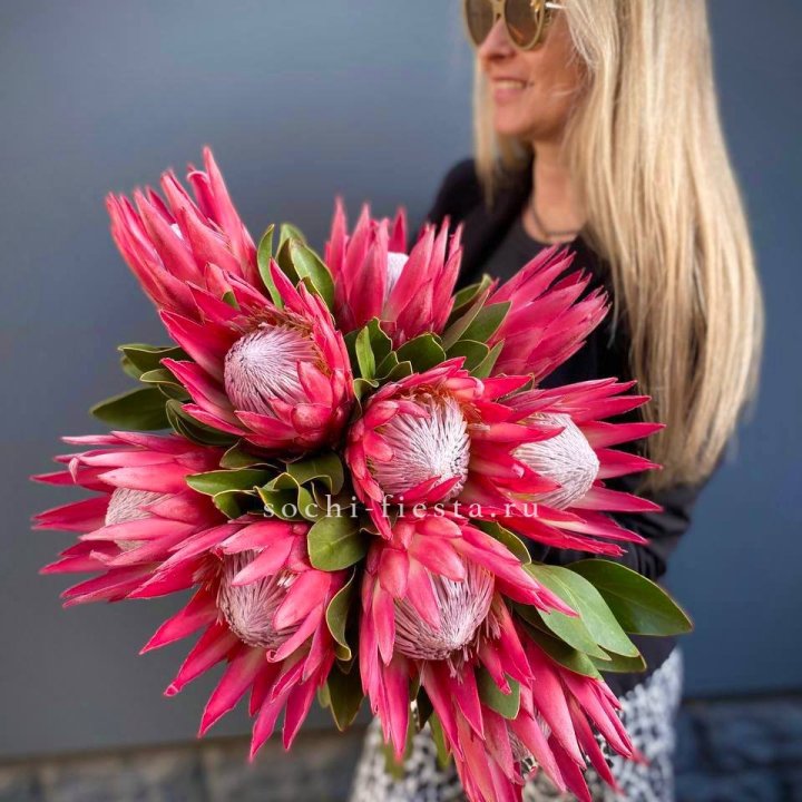 Протея штучно в Краснодаре