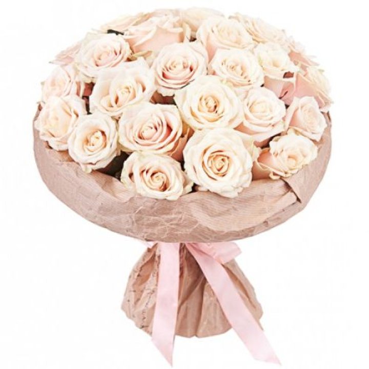 25 кремовых роз "Craft" в Краснодаре