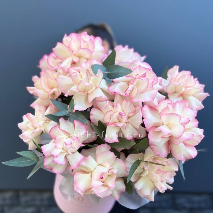 15 Французских роз Джумилия в боксе в Краснодаре