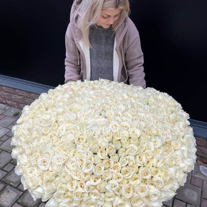 501 белая роза в корзине в Краснодаре