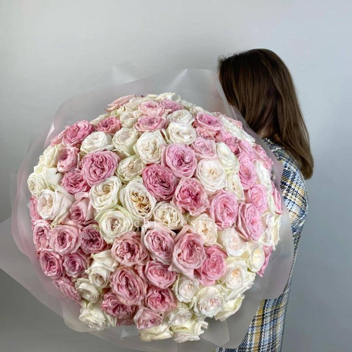 101 роз Охара в Краснодаре