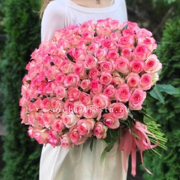 101  джумилия роза  в Краснодаре