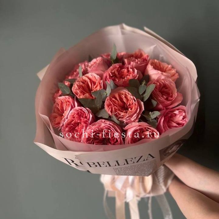 15 Пинк экспрешен в Краснодаре