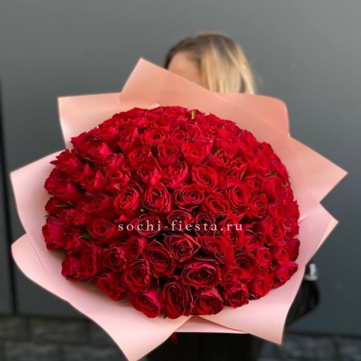 101 роза мадам ред в Краснодаре