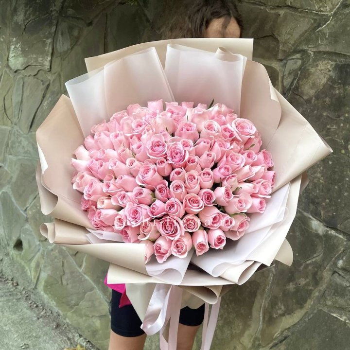 101 нежно-розовая роза Каролина  в Краснодаре