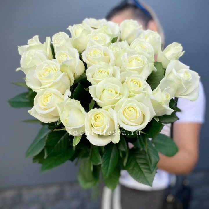 Голландские розы белые 25 в Краснодаре