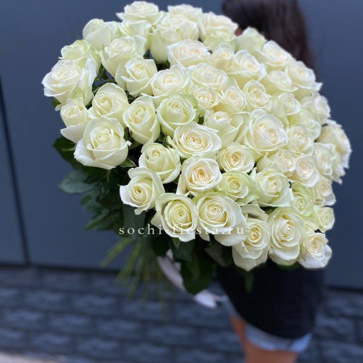 51 белоснежная высокая роза в Краснодаре