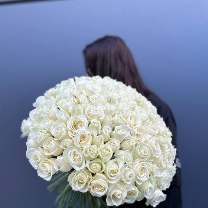 Охапка из 101 белой розы  в Краснодаре
