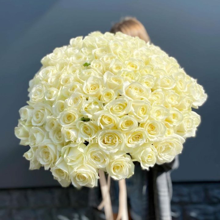 Букет  из 101 белой розы  в Краснодаре