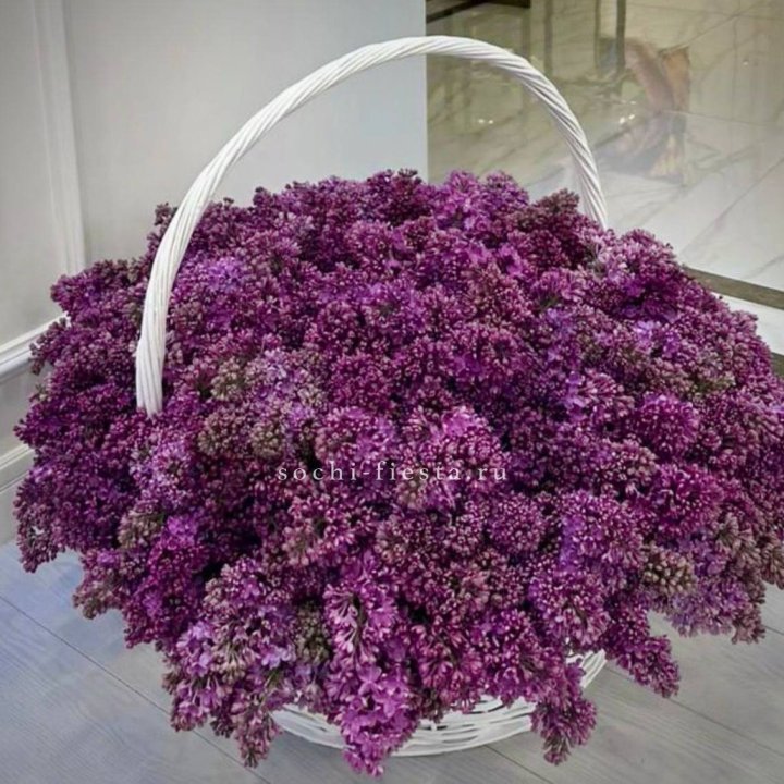 Корзина сирени в Краснодаре