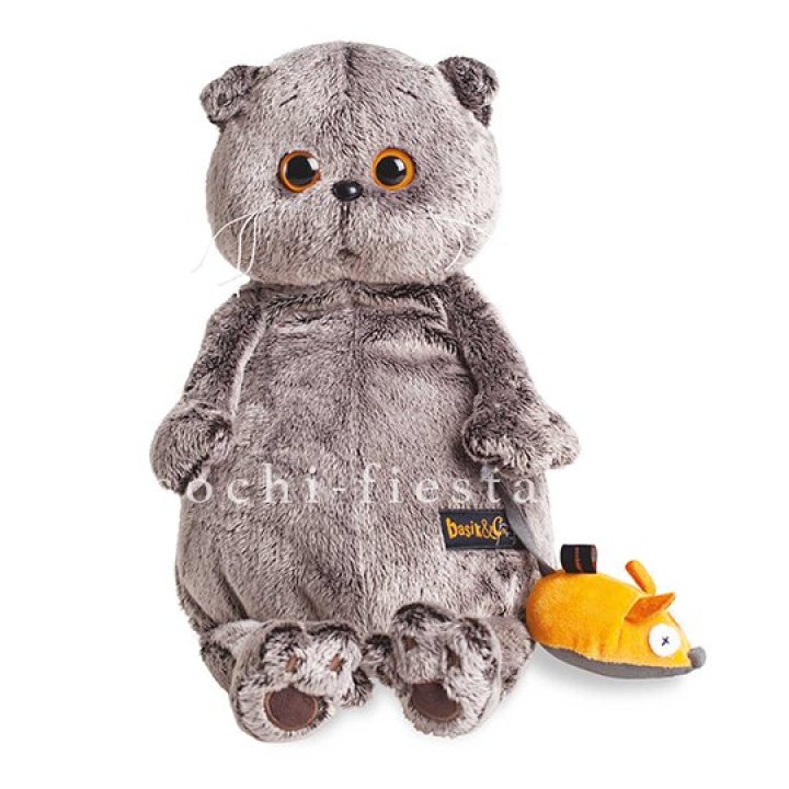 Кот Басик с мышкой в Краснодаре