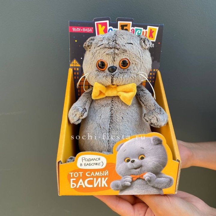 Кот Басик с бабочкой в Краснодаре