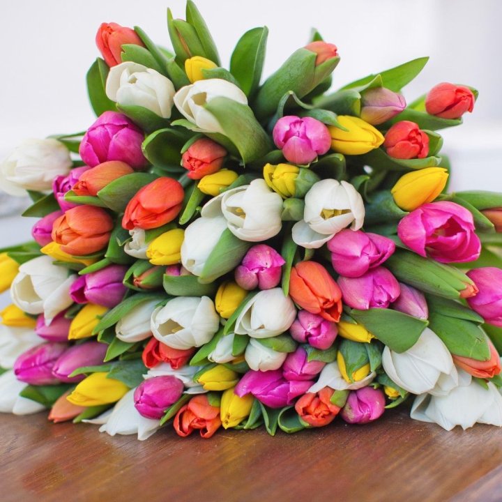 79 тюльпанов "Рандом" в Краснодаре