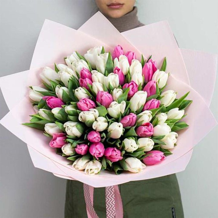 61 бело-розовый тюльпан в Краснодаре