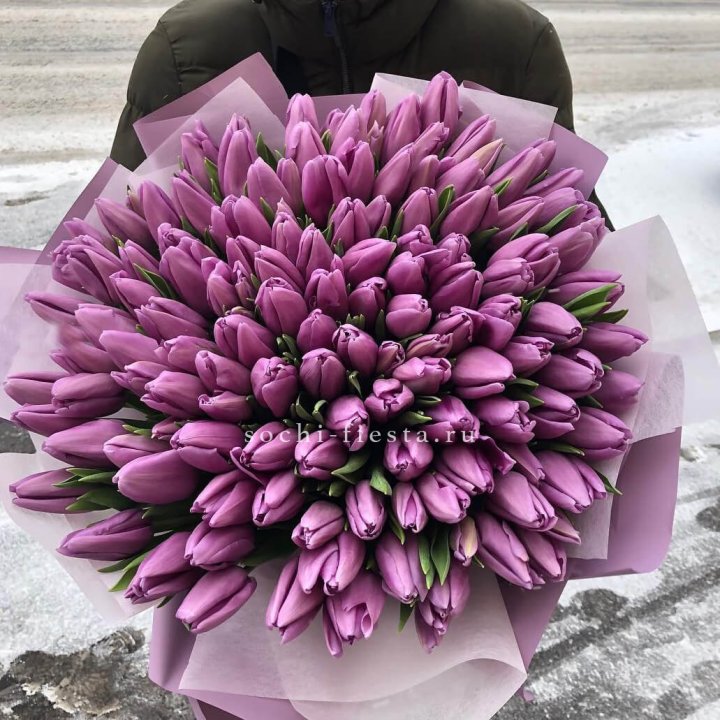 101 сиреневый тюльпан в Краснодаре