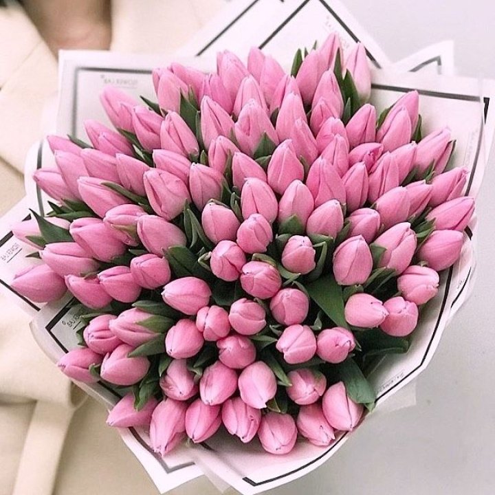 101 розовый тюльпан в белом в Краснодаре