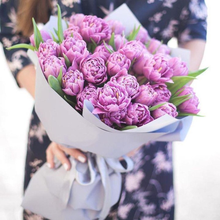 Тюльпаны "Пионс" в Краснодаре