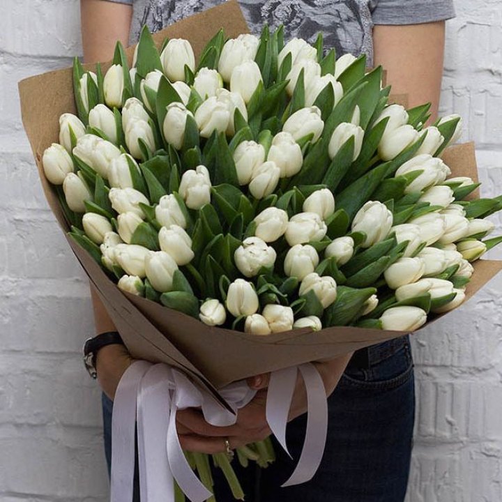 101 тюльпан сноу в Краснодаре