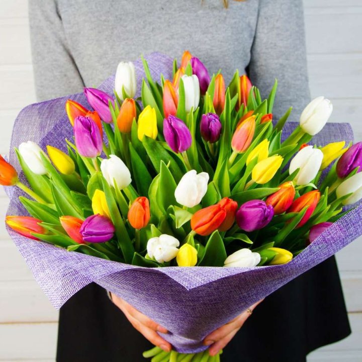 51 тюльпан "Рандом" №2 в Краснодаре